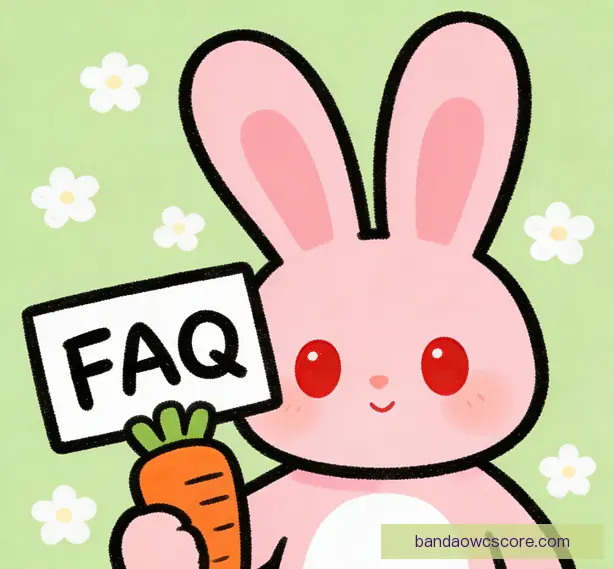 常见问题